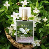 chambeli perfume