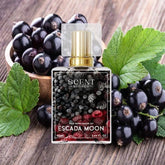 escada moon sparkle perfume price in pakistan