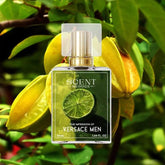 Versace Men perfume for men