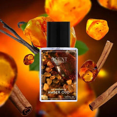 amber perfume price in pakistan