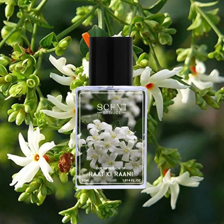 Raat ki Raani perfume